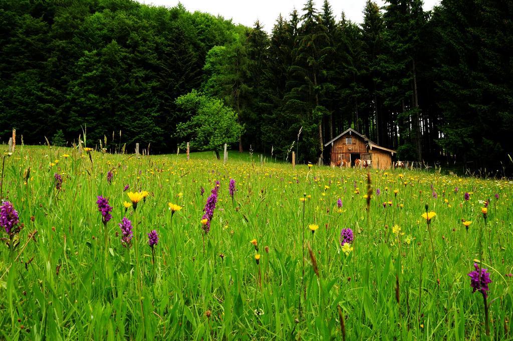 Farma Margarethengut